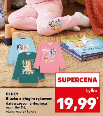 Bluza promocja w Kaufland