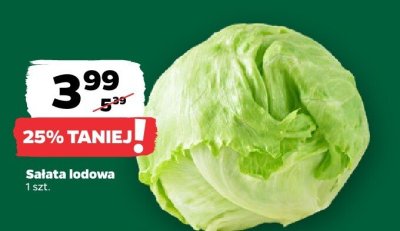 Sałata lodowa promocja w Netto