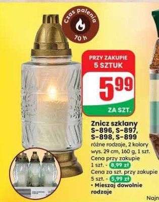 Znicz promocja w Dino