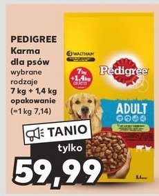 Karma dla psa z wołowiną Pedigree vital promocja