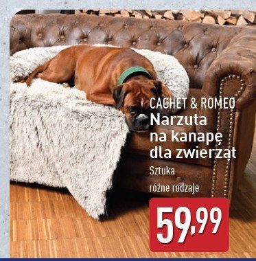 Narzuta na kanapę dla zwierząt Cachet&romeo promocja w Aldi