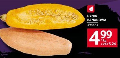 Dynia promocja w Selgros