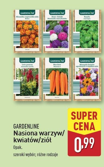 Nasiona lwia paszcza GARDEN LINE promocja