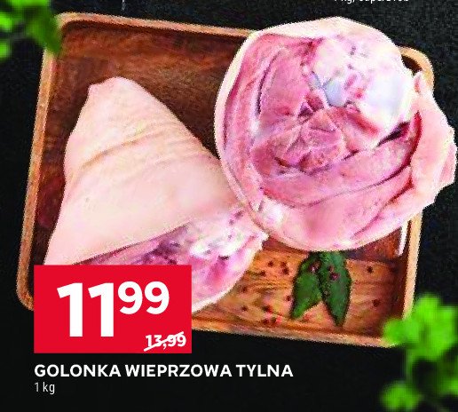 Golonka tylna promocja