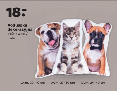 Poduszka pies 29 x 40 cm promocja