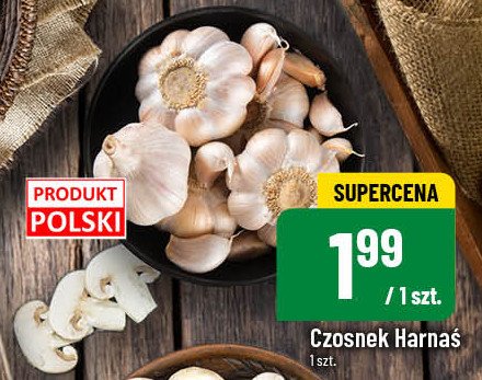 Czosnek harnaś promocja