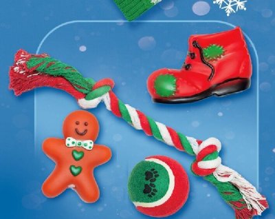 Zestaw prezentowy dla psa Dog The King promocja w POLOmarket