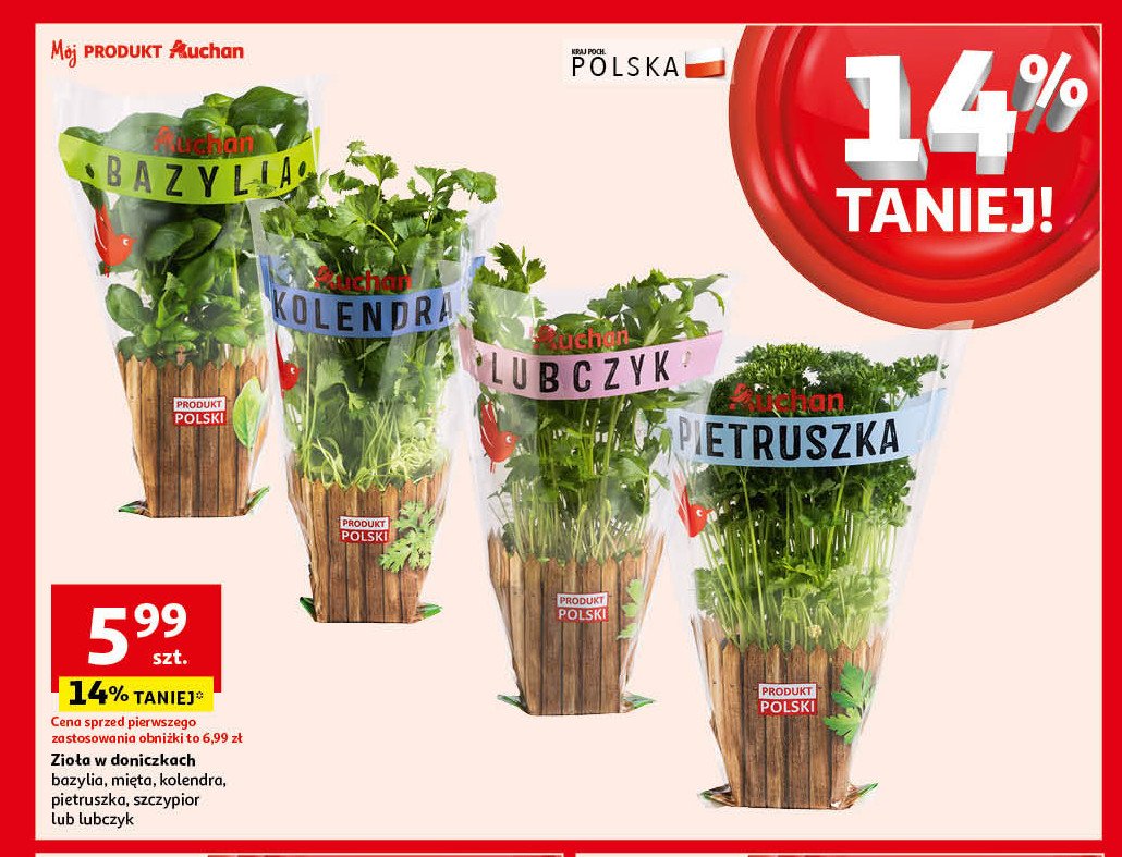 Mięta Auchan promocja w Auchan