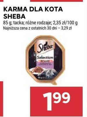 Karma dla kota tacka promocja w Stokrotka