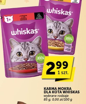 Karma mokra dla kota Whiskas wybrane rodzaje promocja w Euro Sklep