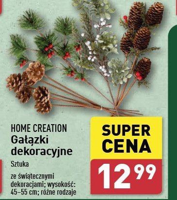 Gałązki dekoracyjne Home creation promocja w Aldi