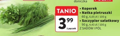Koperek Z SADÓW I PÓL promocja w Intermarche
