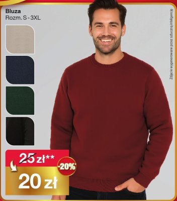 Bluza Rozm. S-3XL promocja w Woolworth