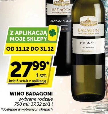 Wino Badagoni wybrane rodzaje promocja w Euro Sklep
