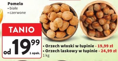 Orzech włoski w łupinie promocja w Intermarche
