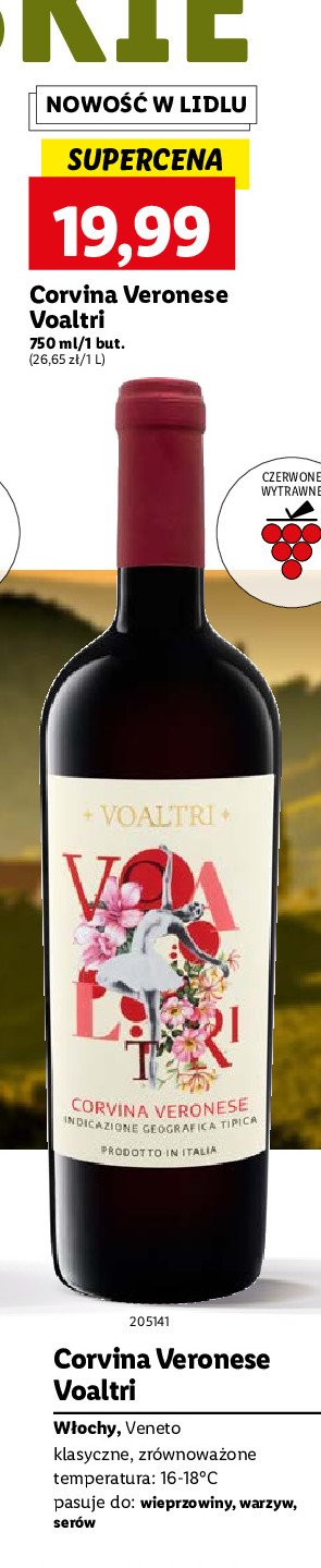 Wino Corvina veronese voaltri promocja w Lidl