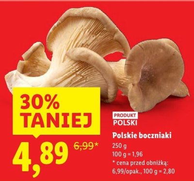 Boczniaki Polskie promocja w Lidl