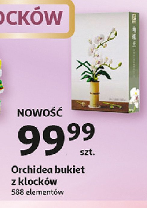 Orchidea bukiet promocja
