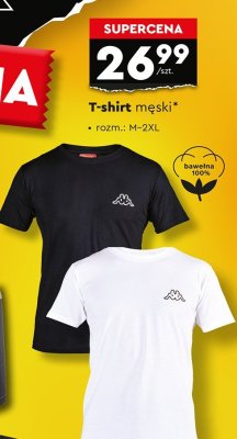 T-shirt męski gr.ii s-3xl promocja w Biedronka