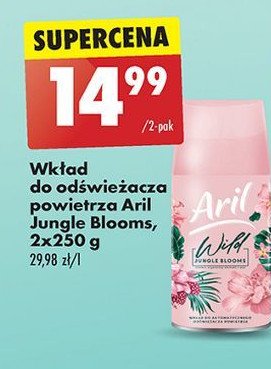 Wkład do odświeżacza wild jungle blooms Aril promocja