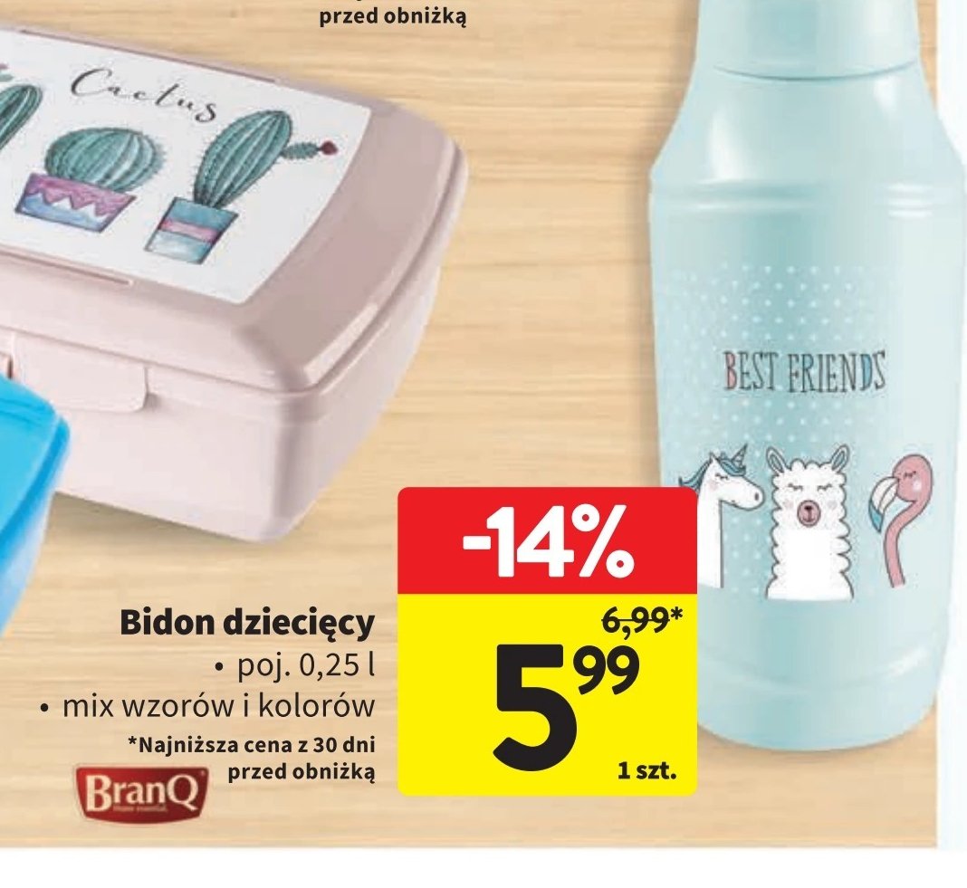 Bidon 250 ml Branq promocja w Intermarche