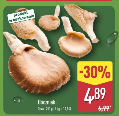 Boczniaki promocja w Aldi