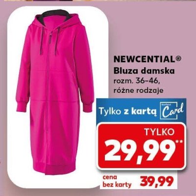 Bluza damska różne rodzaje promocja w Kaufland