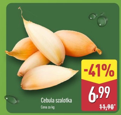 Cebula szalotka Aldi promocja w Aldi