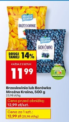 Borówka Mroźna Kraina, 500 g promocja w Biedronka