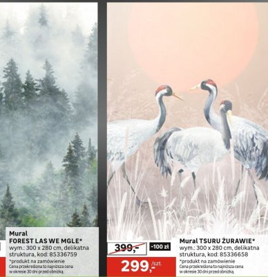 Mural FOREST LAS WE MGLE promocja w Leroy Merlin