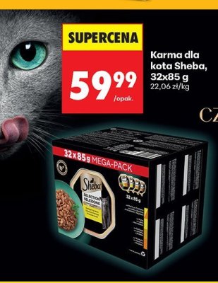 Karma dla kota z kurczakiem Iams for vitality promocja w Biedronka