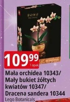 Klocki Lego Botanicals Mała orchidea 10343/Mały bukiet żółtych kwiatów 10347/Dracena sandera 10344 promocja w Leclerc