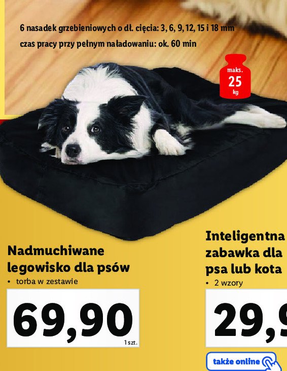 Legowisko dla psa nadmuchiwane Zoofari promocja