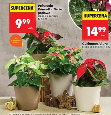 Od poniedziałku, Z ladą tradycyjną, strona 24 promocja w Biedronka