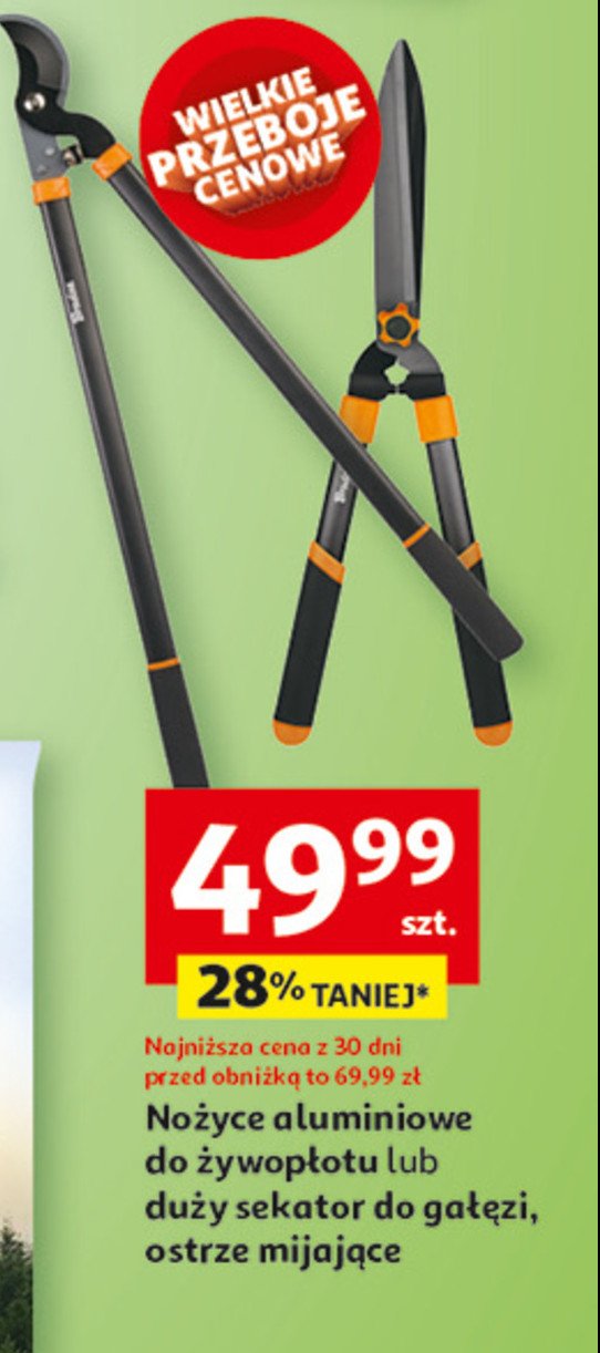 Nożyce do żywopłotu BARDAS promocja w Auchan