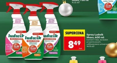 Spray Ludwik Maxx, 600 ml: do kabin prysznicowych promocja w Biedronka