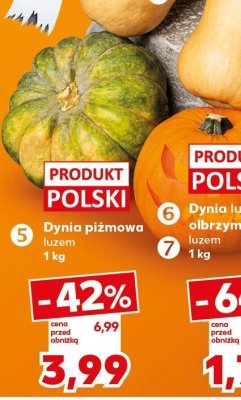 Dynia promocja w Kaufland