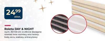 Roleta DAY & NIGHT 35×140 cm promocja w PSB Mrówka