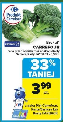 Brokuł 1 szt. promocja w Carrefour