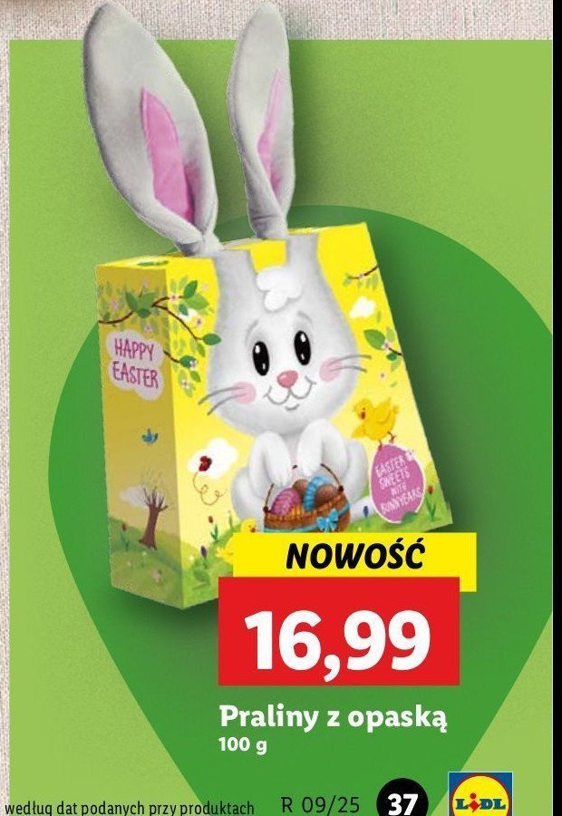 Praliny z opaską promocja w Lidl