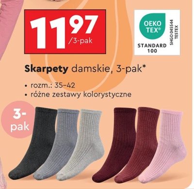 Skarpety damskie, 3-pak promocja w Biedronka