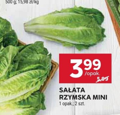 Sałata rzymska mini promocja w Stokrotka