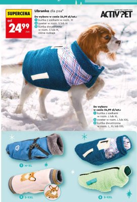 Kurtka z szelkami L lub XL promocja w Biedronka