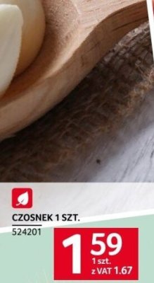 Czosnek 1 szt. promocja w Selgros