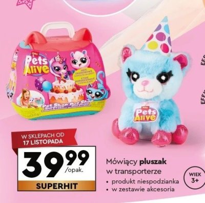 Mówiący pluszak w transporterze promocja w Biedronka