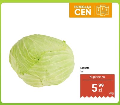 Kapusta promocja w Dino