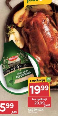 Gęś promocja w Stokrotka