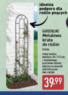 Metalowa krata do roślin 30 x 172 cm GARDEN LINE promocja