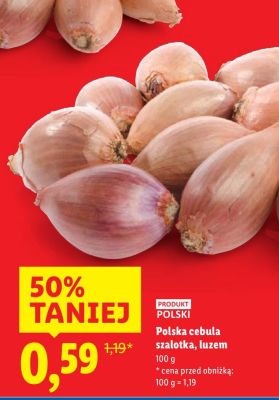 Polska cebula szalotka, luzem Lidl promocja w Lidl