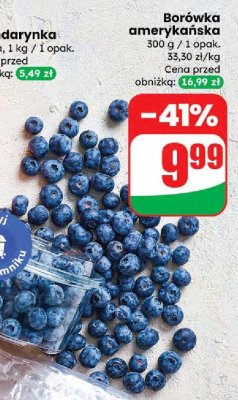 Borówka amerykańska promocja w Dino